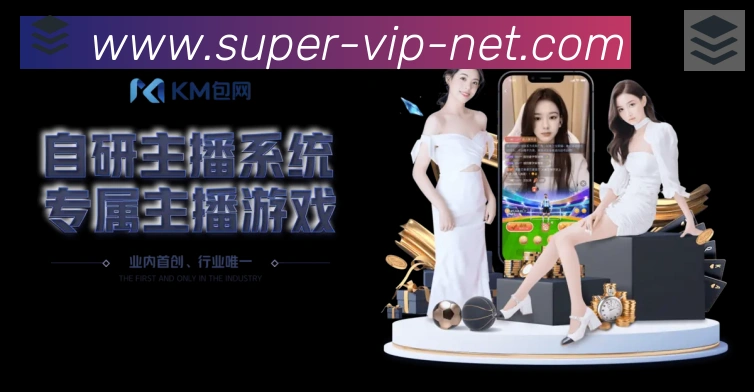 登录器